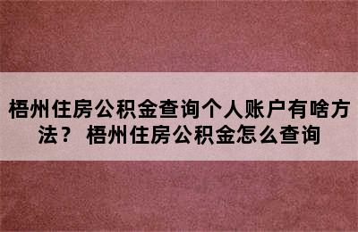 梧州住房公积金查询个人账户有啥方法？ 梧州住房公积金怎么查询